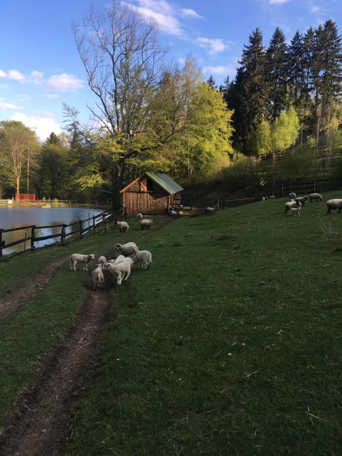 Chalupa Skalka Ceska Metuje Buitenkant foto